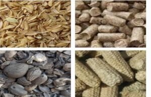 Harnessing the Power of Farm Biomass for Sustainable Electricity Generation