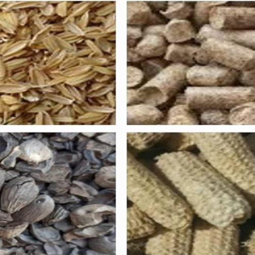 Harnessing the Power of Farm Biomass for Sustainable Electricity Generation